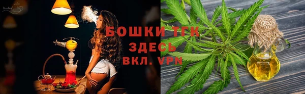 эйфоретик Карпинск