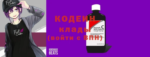 тгк Шали