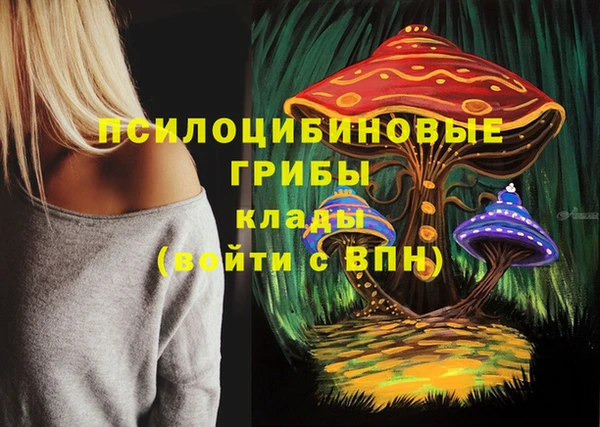 эйфоретик Карпинск