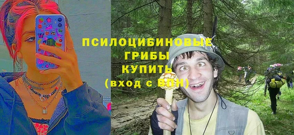 дурь Карталы