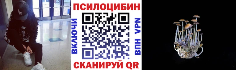 МЕГА вход  Куйбышев  Псилоцибиновые грибы Psilocybe 